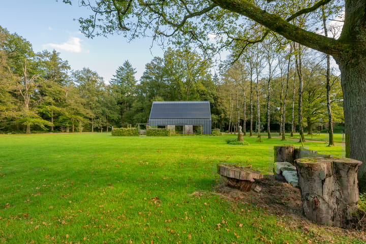 Foto 4 van Buurtsteeg 4-B