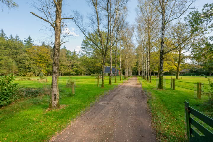 Foto 48 van Buurtsteeg 4-B