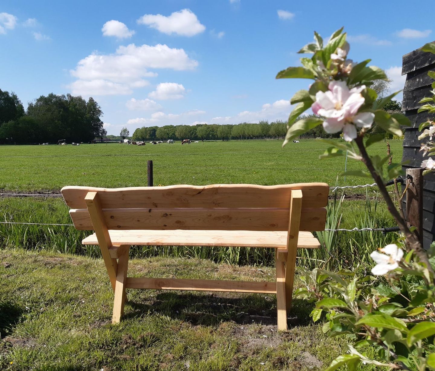 Foto 35 van Poppeswegje 27-B