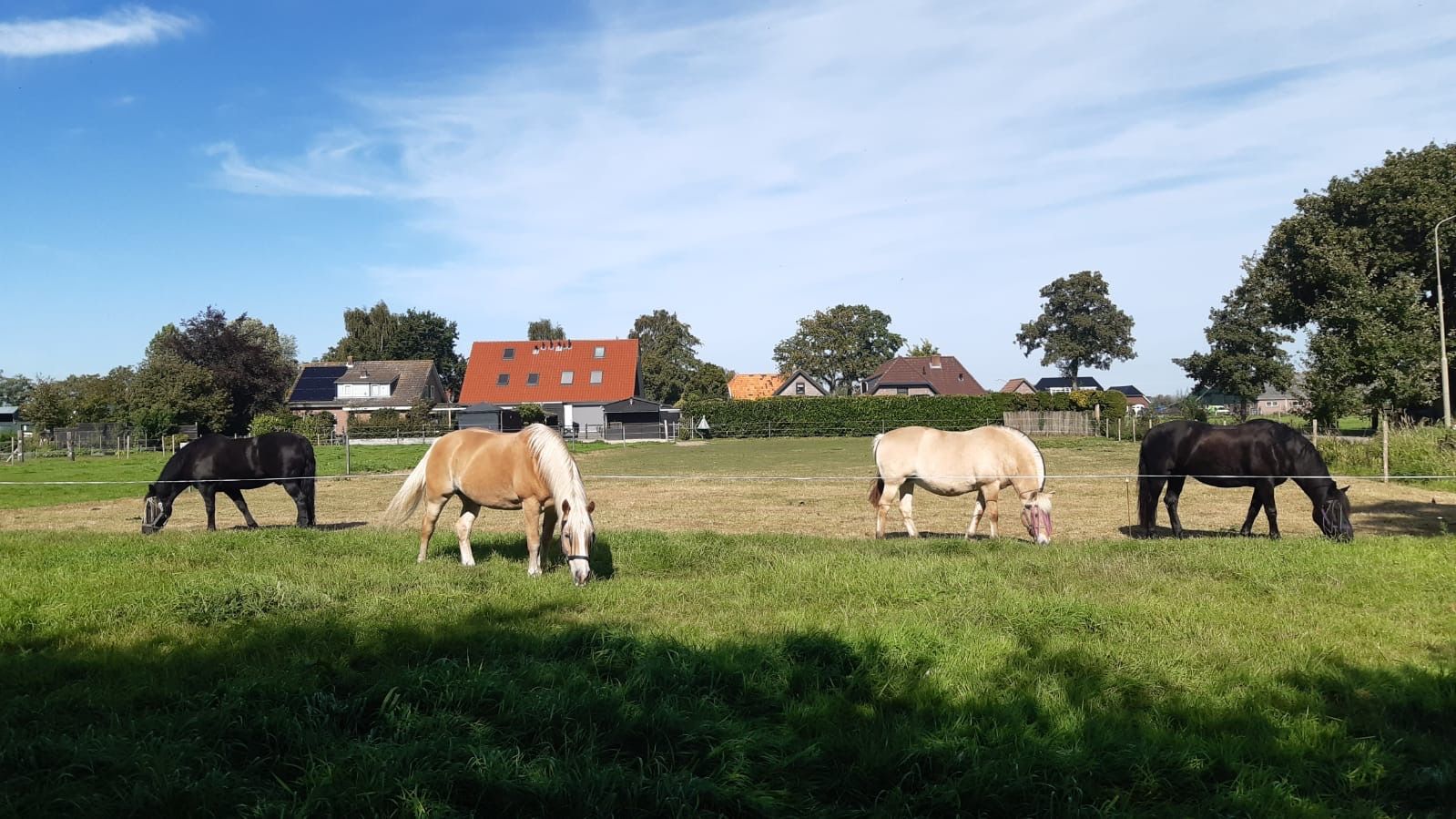 Foto 36 van Poppeswegje 27-B