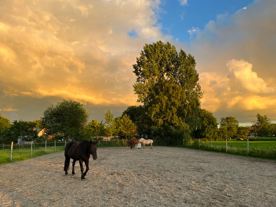 Foto 37 van Poppeswegje 27-B