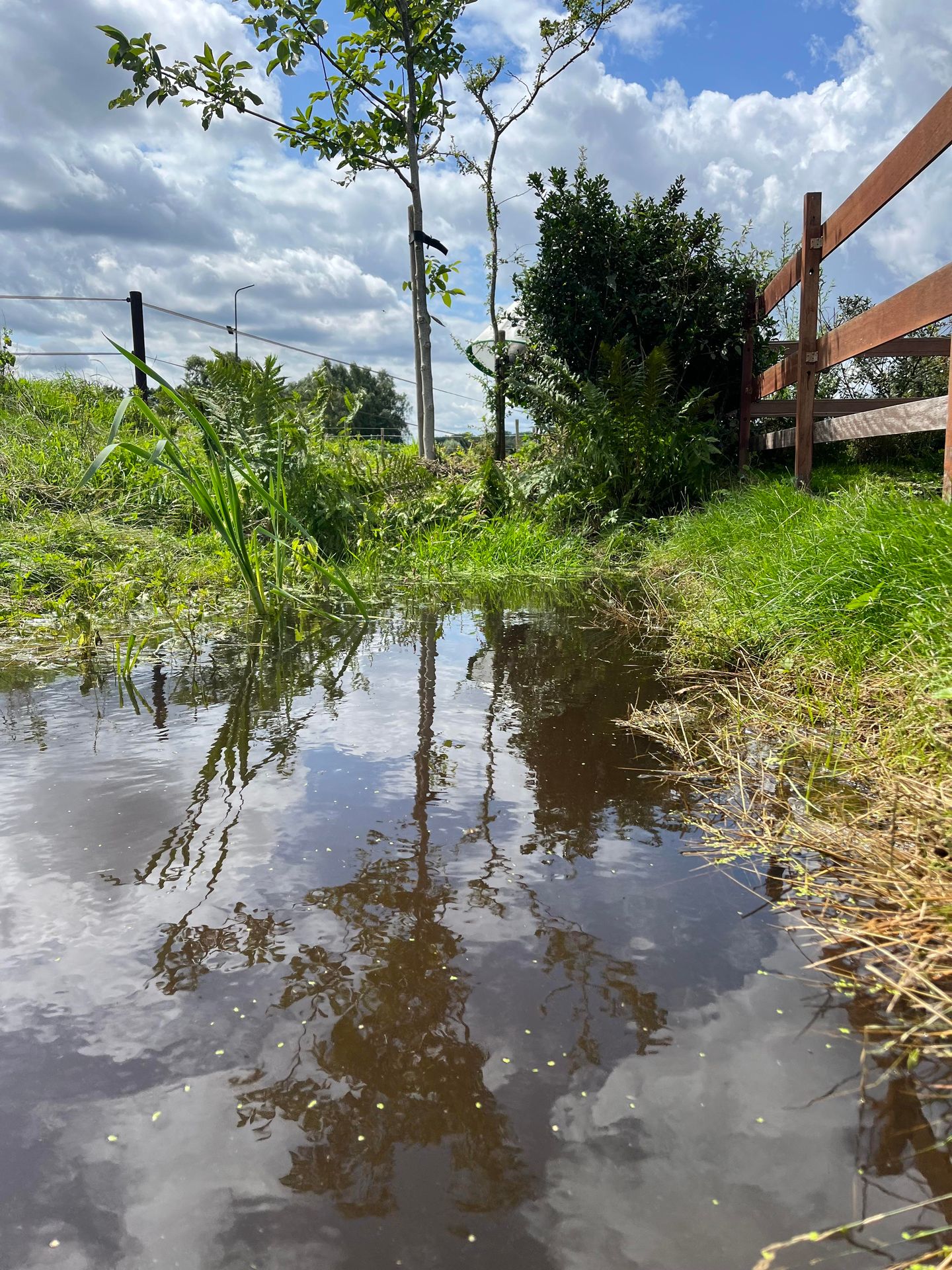 Foto 40 van Poppeswegje 27-B