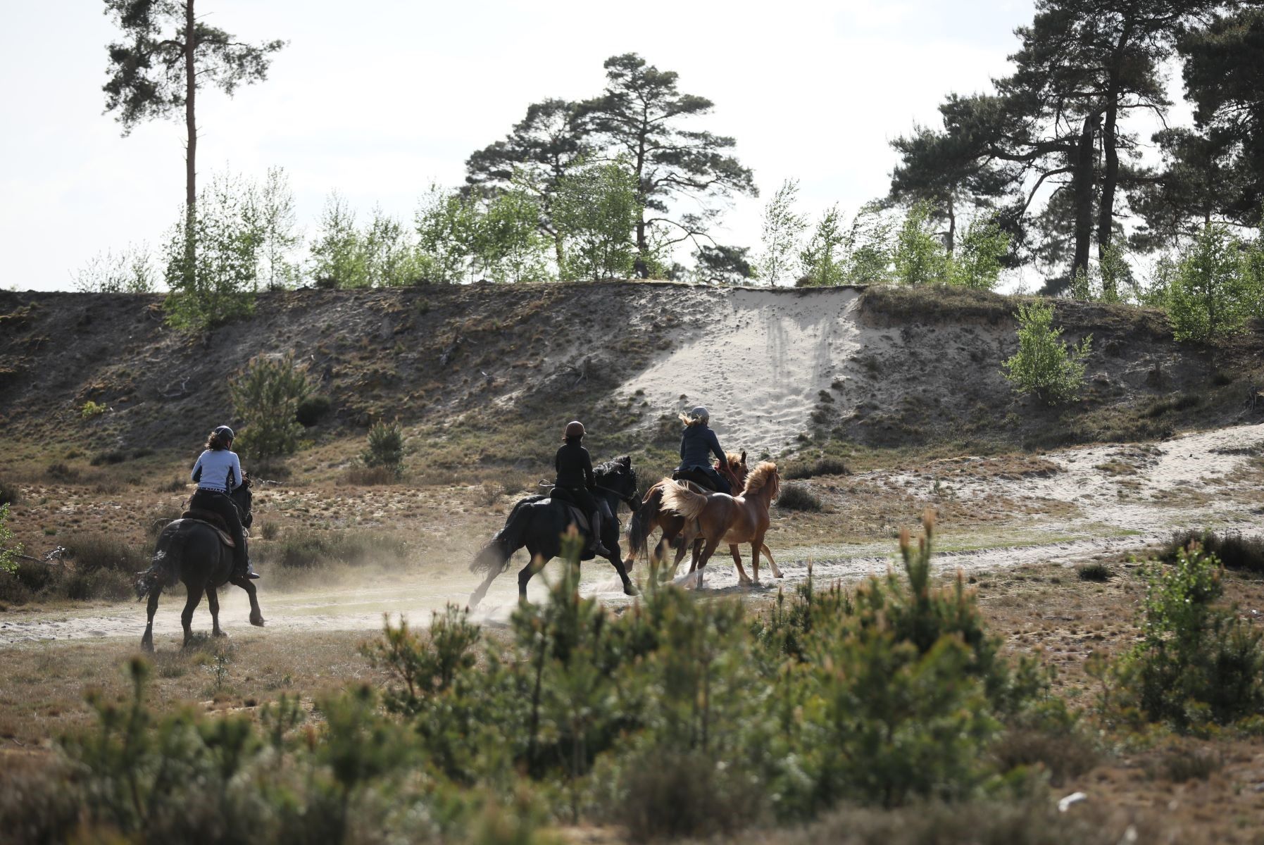 Foto 42 van Poppeswegje 27-B