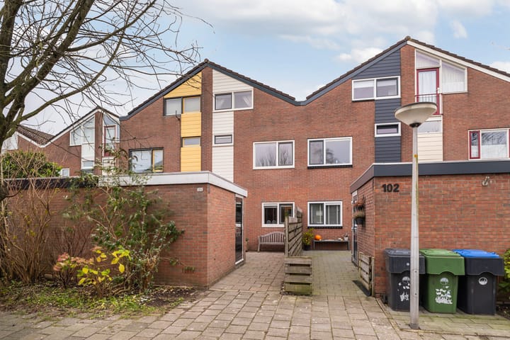 Foto 1 van Maagdepalm 104