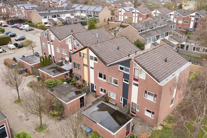 Foto 2 van Maagdepalm 104