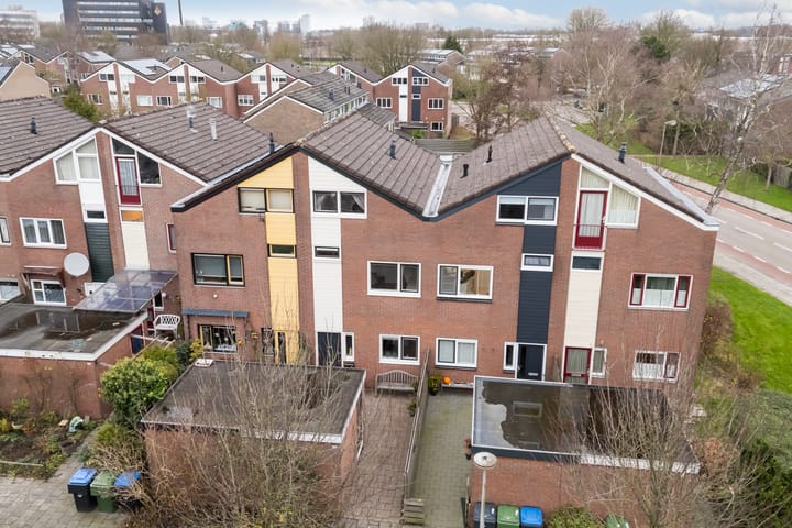 Foto 4 van Maagdepalm 104