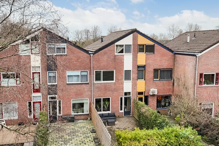 Foto 6 van Maagdepalm 104