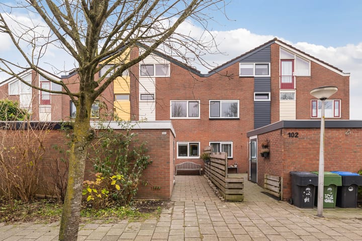 Foto 7 van Maagdepalm 104