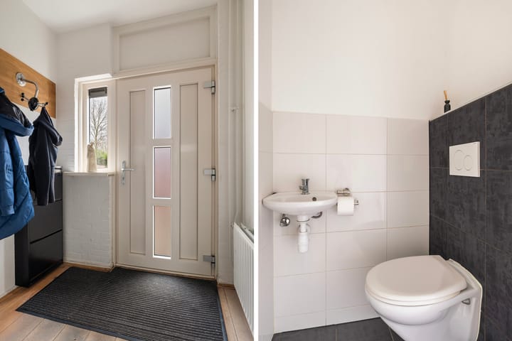 Foto 10 van Maagdepalm 104