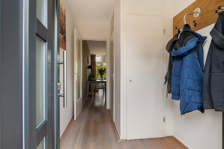 Foto 11 van Maagdepalm 104