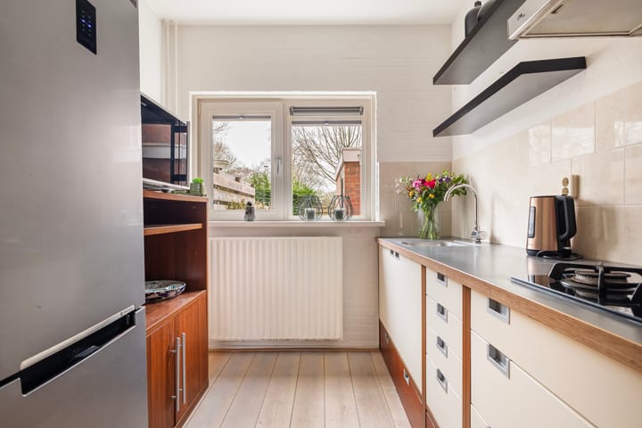 Foto 20 van Maagdepalm 104