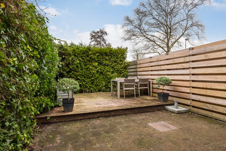 Foto 24 van Maagdepalm 104