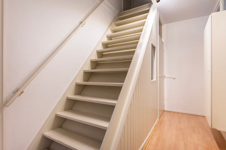 Foto 33 van Maagdepalm 104