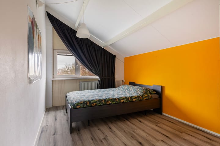 Foto 35 van Maagdepalm 104