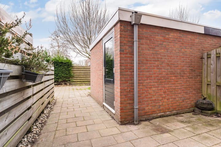 Foto 39 van Maagdepalm 104