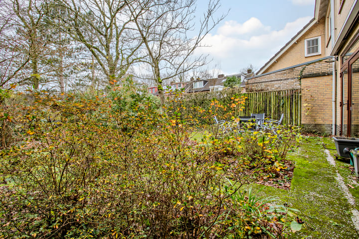 Foto 40 van Harpdreef 6