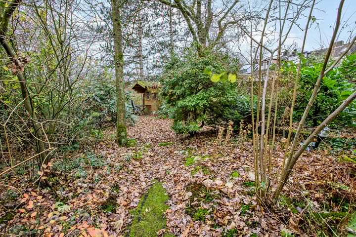 Foto 41 van Harpdreef 6