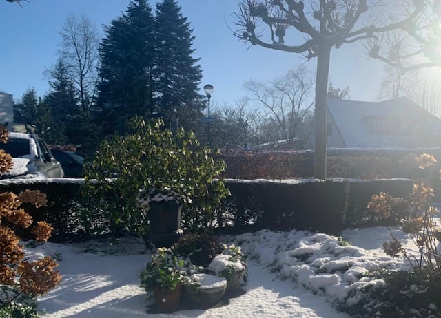 Foto 45 van Schrauwenhof 15