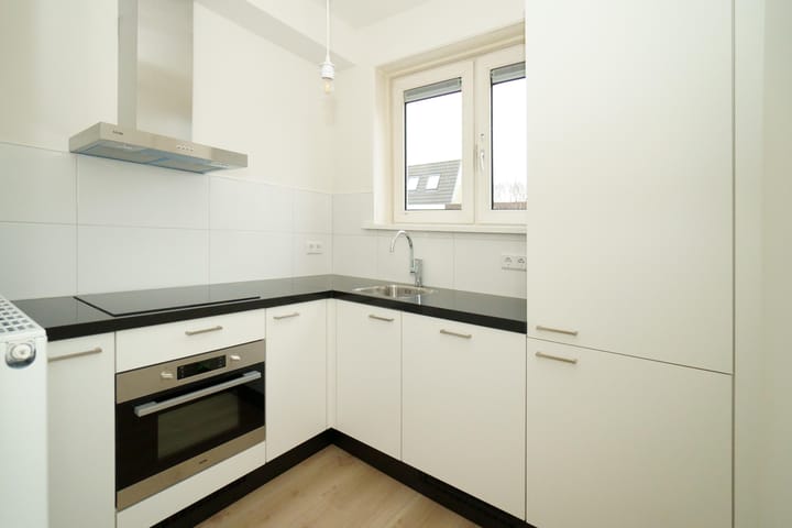 Foto 3 van Laan van Nieuw-Guinea 91-BS