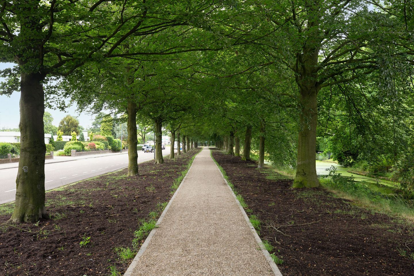 Photo 25 of Groenewoudlaan 94