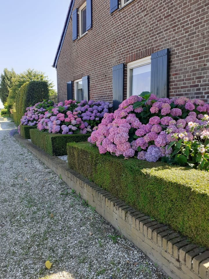 Foto 71 van Hoevensestraat 4-A