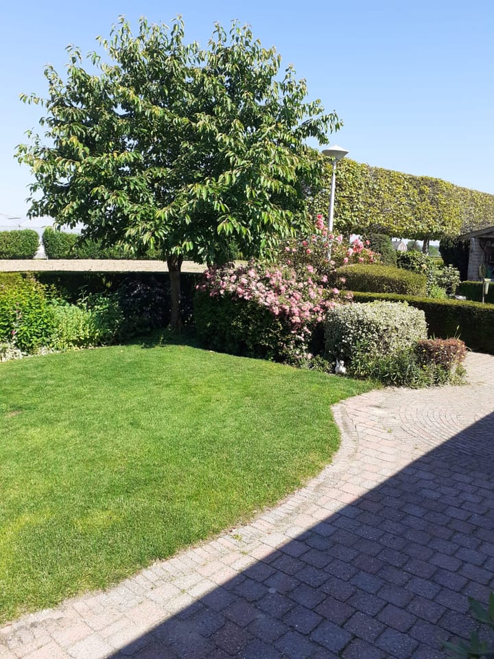 Foto 73 van Hoevensestraat 4-A