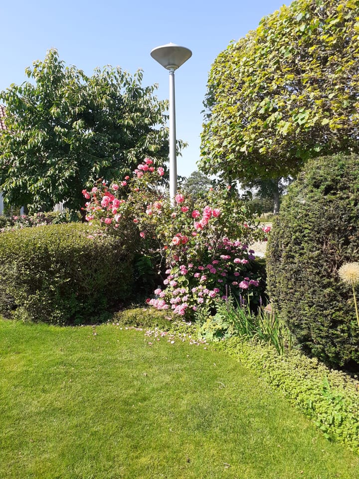 Foto 76 van Hoevensestraat 4-A