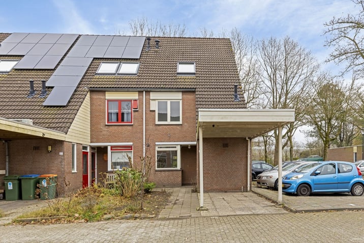 undefined main image