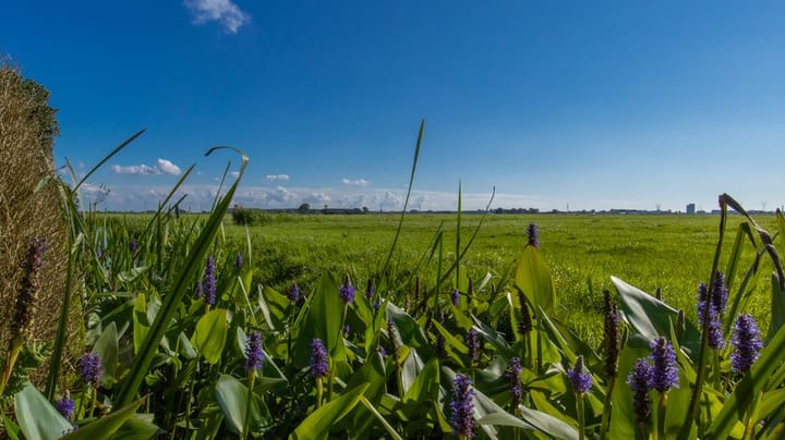 Foto 12 van Pastoor Schramaweg 8