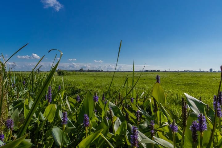 Bekijk foto 12 van Pastoor Schramaweg 8