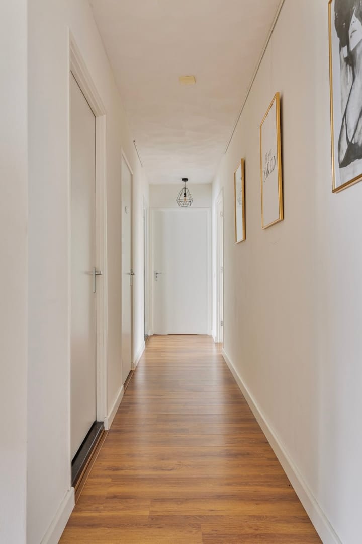 Foto 9 van Aambeeld 4