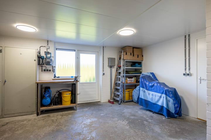 Foto 30 van Fluitekruid 1