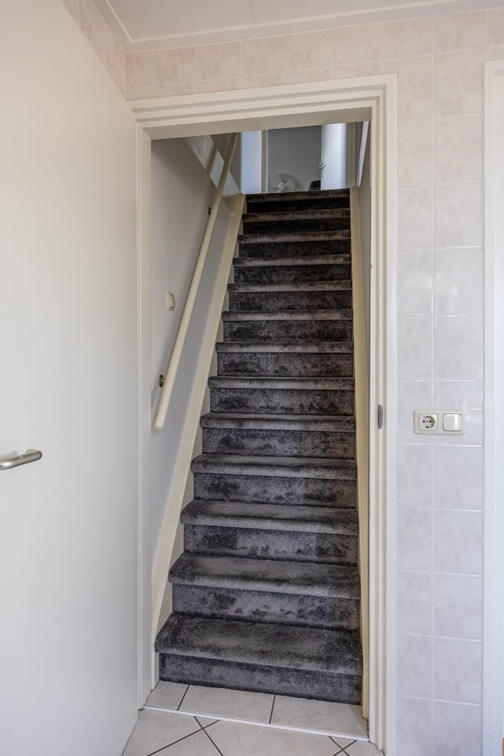 Foto 31 van Fluitekruid 1