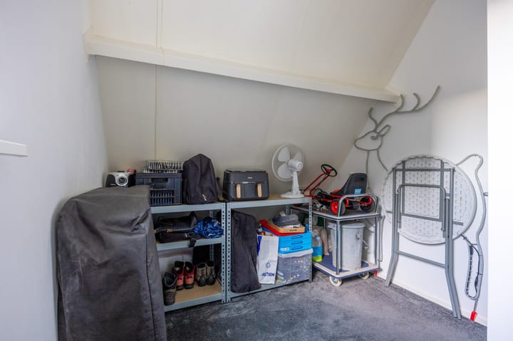 Foto 34 van Fluitekruid 1