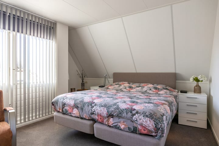 Foto 37 van Fluitekruid 1