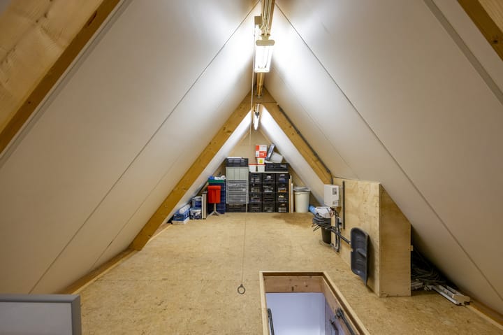 Foto 46 van Fluitekruid 1