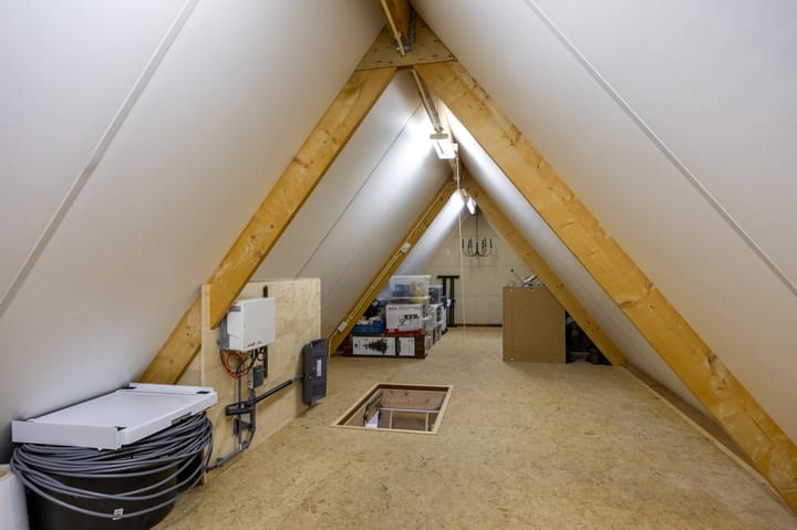 Foto 47 van Fluitekruid 1