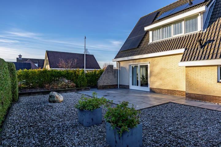 Foto 48 van Fluitekruid 1