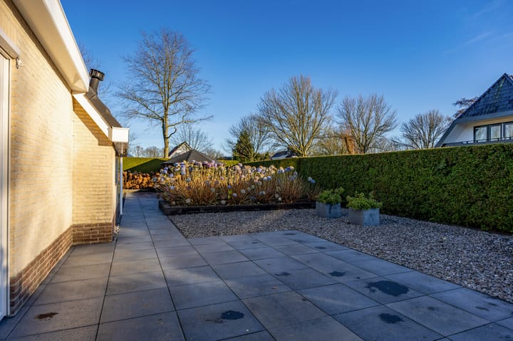 Foto 50 van Fluitekruid 1