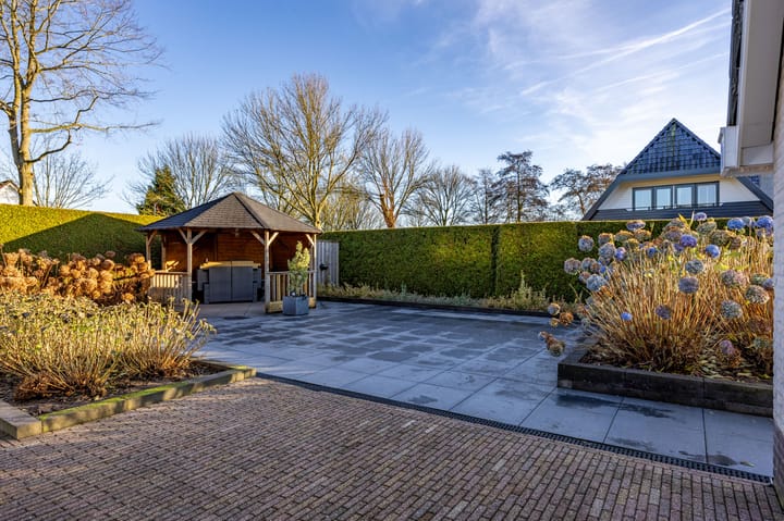 Foto 52 van Fluitekruid 1