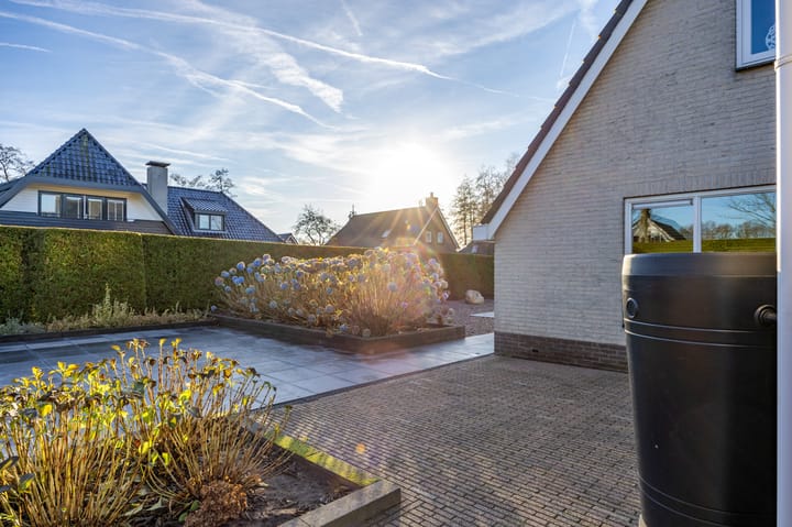 Foto 53 van Fluitekruid 1