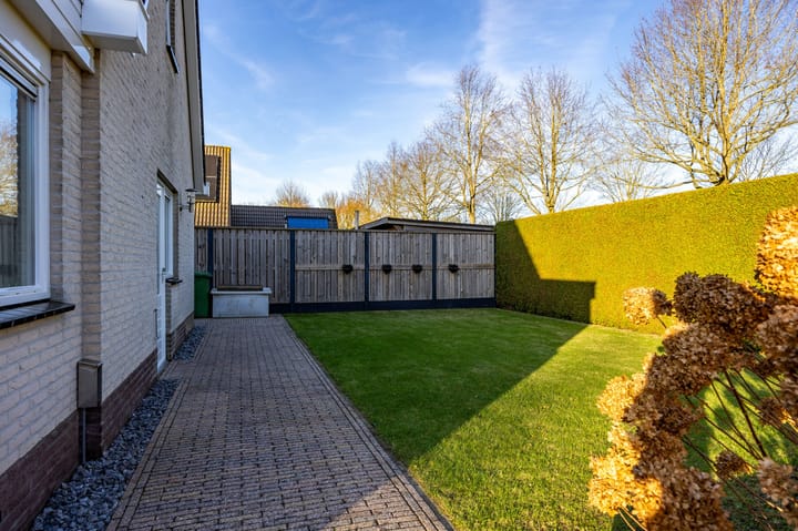 Foto 54 van Fluitekruid 1