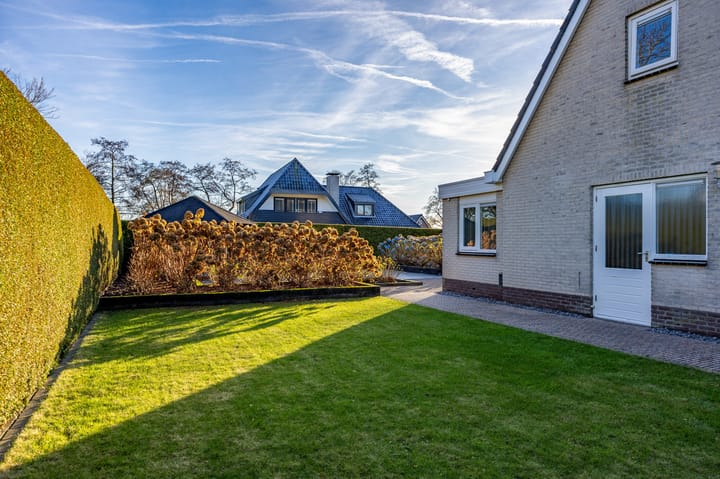 Foto 56 van Fluitekruid 1