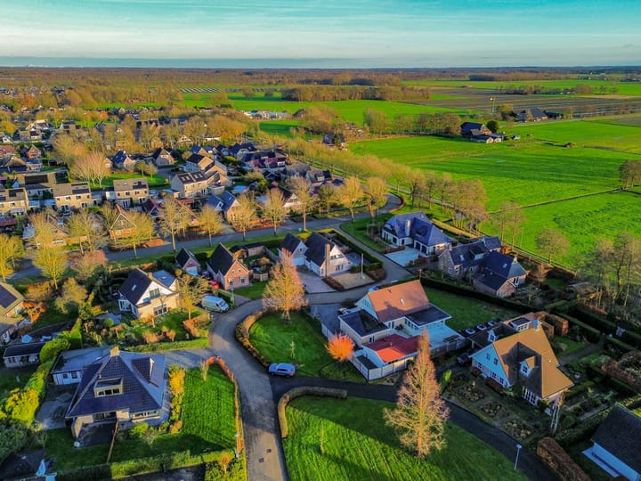 Foto 62 van Fluitekruid 1