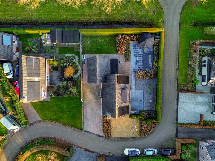 Foto 63 van Fluitekruid 1