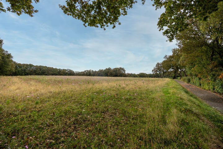 Bekijk foto 39 van De Stichtse Rand 38