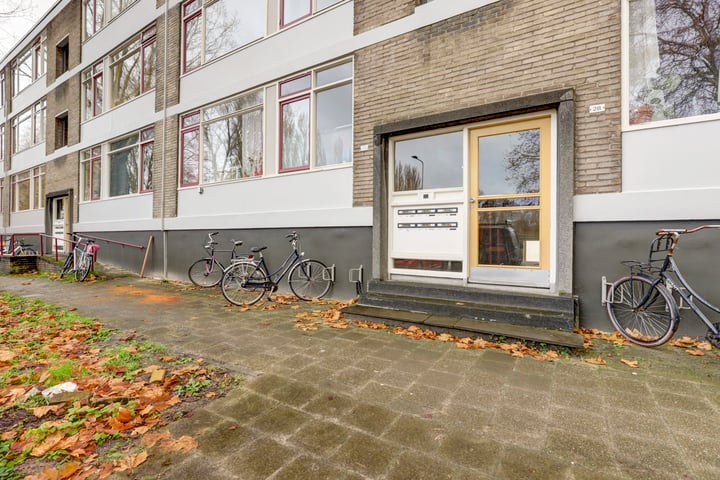 Bekijk foto 3 van Thorbeckestraat 30-2