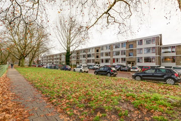 Thorbeckestraat thumbnail