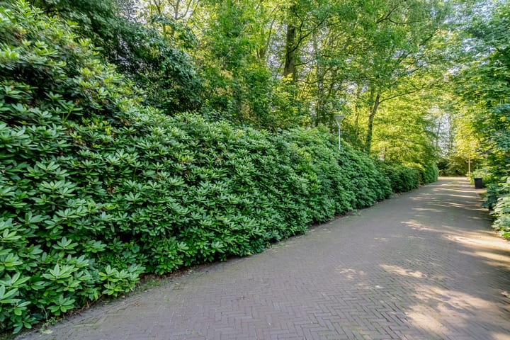 Foto 5 van Kastanjelaan 3