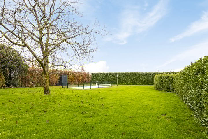 Photo 51 of Oude Koningstraat 8-B